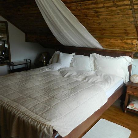 Pensiunea Romantic Sadu Экстерьер фото