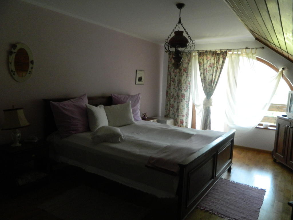 Pensiunea Romantic Sadu Экстерьер фото