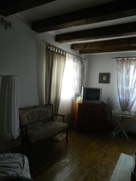 Pensiunea Romantic Sadu Экстерьер фото