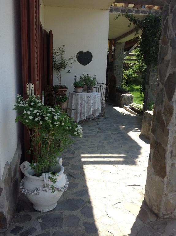 Pensiunea Romantic Sadu Экстерьер фото