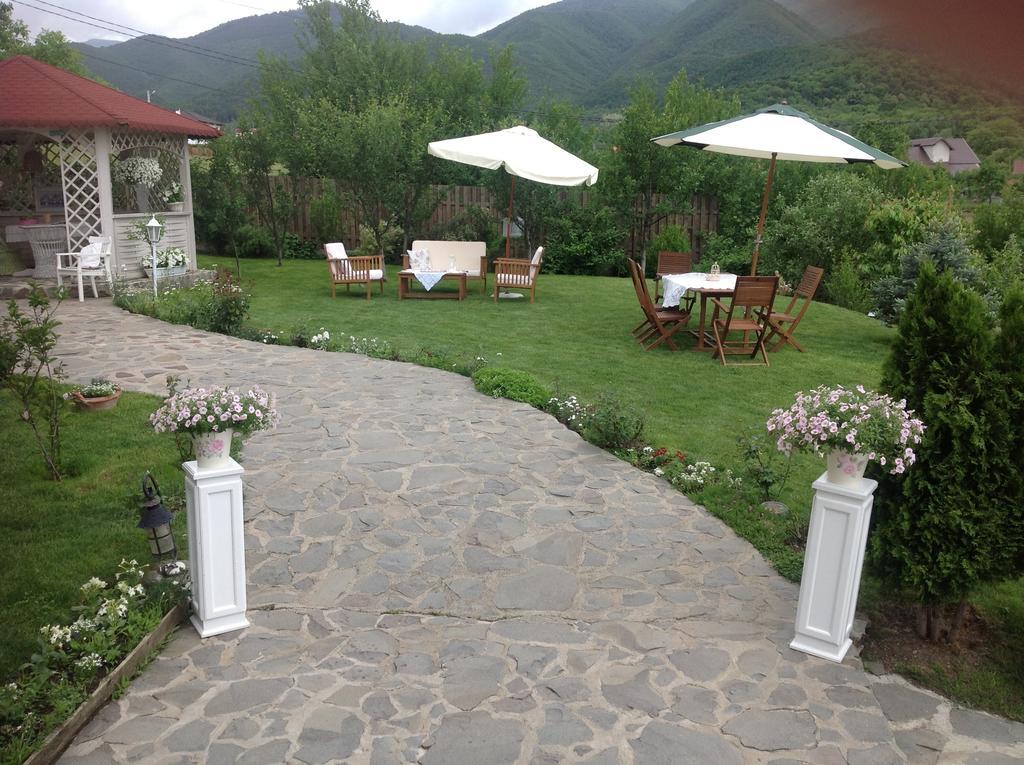 Pensiunea Romantic Sadu Экстерьер фото